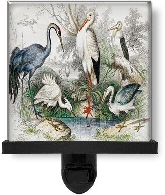 Beautiful Vintage Style Stork Crane Bird Animal Nature Glass Photo Night Light, Decorative Lights