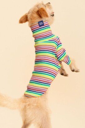 Little Beast Striped Pet Sweatshirt