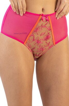 Olivia High Waist Embroidered Mesh & Satin Briefs