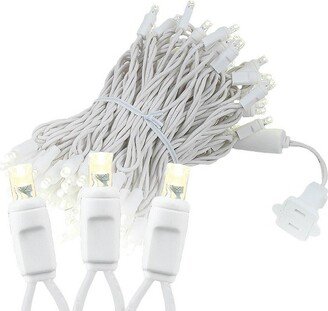 Novelty Lights Inc Novelty Lights Warm White 100 LED Christmas Mini Light Set (white Wire, 34 Feet)