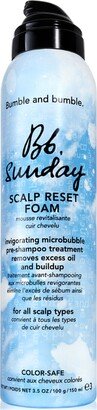 Sunday Scalp Reset Foam, 3.5oz.