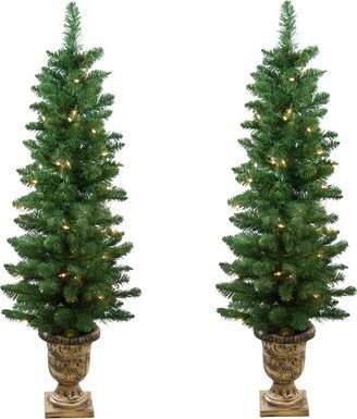 Northlight Set of 2 Pre-Lit Whitmire Pine Potted Artificial Christmas Trees 4' - Clear Lights