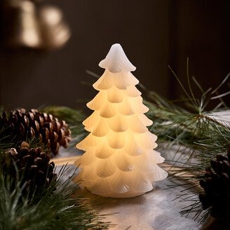 Lit Wax Evergreen Tree