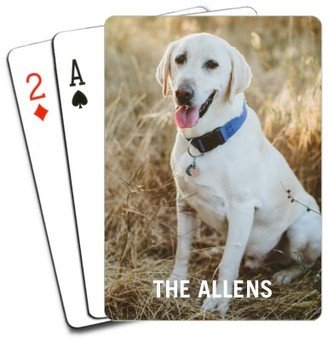 Playing Cards: Photo Gallery Pet Playing Cards, Multicolor
