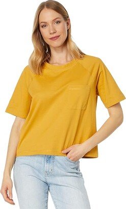 Deschutes Raglan Sleeve Tee (Soft Gold) Women's Clothing