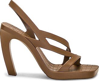 Jimbo Slingback Sandal in Brown