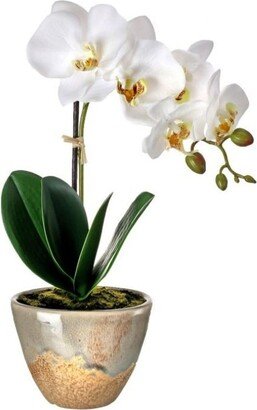 Real Touch Phalaenopsis Orchid in Aged Terracotta 14