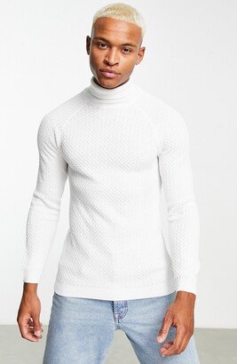 Muscle Fit Textured Turtleneck Sweater