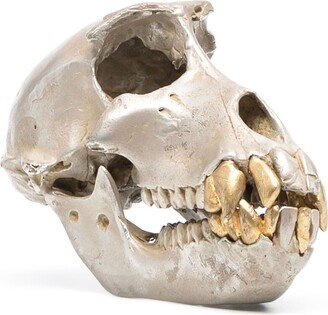 Monkey skull decorative object