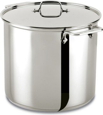 Stainless Steel 16 Qt. Stockpot with Lid