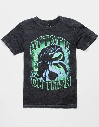 Attack On Titan Mens Tee