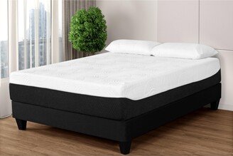 Primo Artic Cloud 14 Plush Mattress- King + 2 Free Pillows