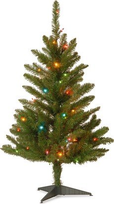 National Tree Company Artificial Pre-Lit Mini Christmas Tree