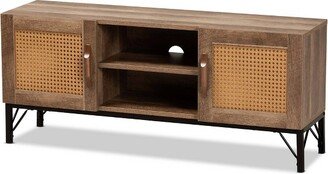 Veanna Bohemian Natural Wood and Metal 2 Door Synthetic Rattan TV Stand for TVs up to 40 Brown/Black