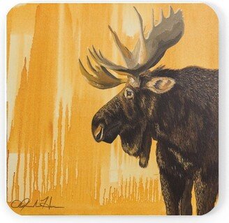 Moose Cork Back Coaster Square