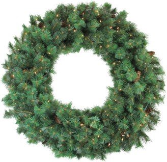 Northlight Pre-Lit Royal Oregon Pine Artificial Christmas Wreath 48-Inch Clear Lights