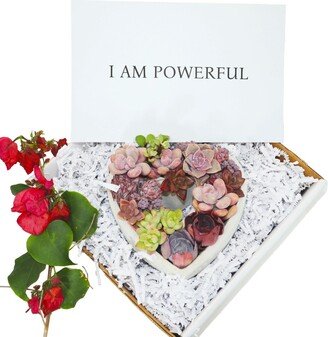 Diy-Gift | I Am Powerful Heart Shaped Assorted Succulents Gift Box Inspirational Spiritual Bible Quotes Verse Self-Love Gifts Wedding Baby