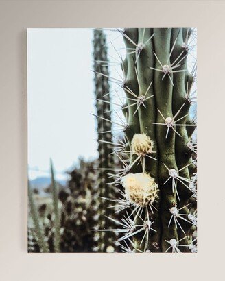 Four Hands Cactus Garden Photography Print on Maple Box Framed Wall Art