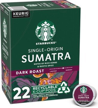 Dark Roast K-Cup Coffee Pods — Sumatra for Keurig Brewers — 1 box (22 pods)