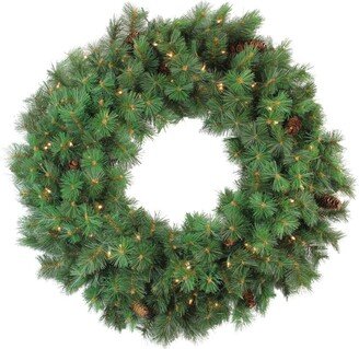 Northlight Pre-Lit Royal Oregon Pine Artificial Christmas Wreath 36-Inch Clear Lights