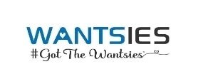 The Wantsies Promo Codes & Coupons