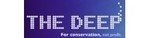 The Deep Promo Codes & Coupons