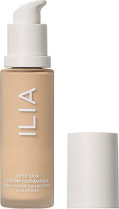 True Skin Serum Foundation in Beauty: NA-AK