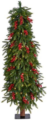 Victoria Fir Artificial Christmas Tree with 100 Multi-Color Multifunction Led Lights, Berries and 171 Bendable Branches, 4'