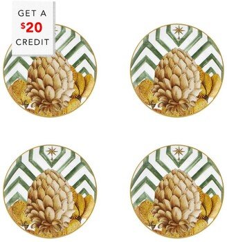 Amazonia Bread And Butter Plates (Set Of 4) With $20 Credit