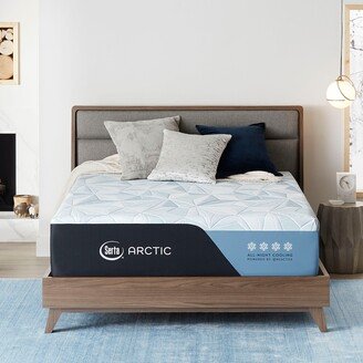 Arctic 13.5 Memory Foam Plush Mattress