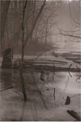 Kurt Shaffer Photographs Foggy frozen marsh Canvas Art - 36.5 x 48