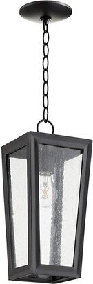 Quorum International Bravo Outdoor Pendant Light