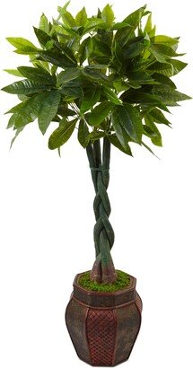 4.5' Money Artificial Tree in Mixed-Pattern Planter