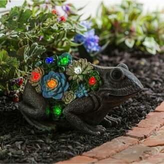 Solar Resin Succulent Frog
