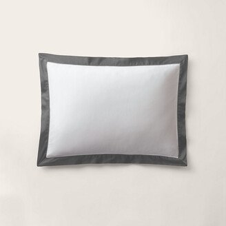 Organic Cotton Sateen Border Sham-AC