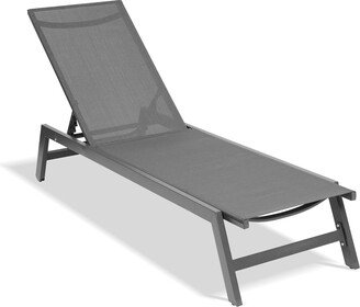 EYIW Outdoor Chaise Lounge Chair with 5-Position Adjustable Backrest and Wheels, 75L x 22W x 12H