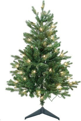 3' Pre-Lit Clear Incandescent Jackson Pine Tree