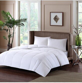 Sleep Philosophy Year-Round 3M-Thinsulate Down Alternative 100% Cotton Cover Comforter, Twin