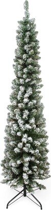 Northlight 6' Flocked North River Pine Pencil Artificial Christmas Tree Unlit