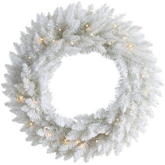 Colorado Spruce Artificial Christmas Wreath with 179 Bendable Branches and 35 Warm Led Lights, 24