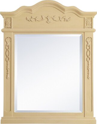 Lenora 36 x 28 Arched Beveled Wood Framed Accent