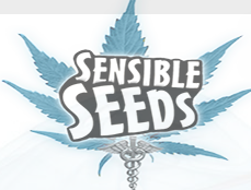 Sensible seedss Promo Codes & Coupons