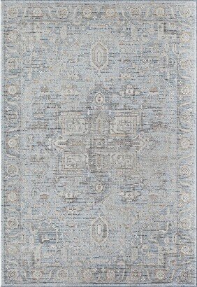 Preston PS60A Gibraltar Blue Transitional Vintage Gray Area Rug, 8'0X10'0