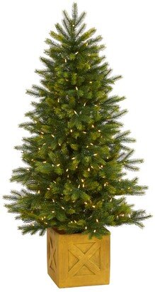 Manchester Fir Artificial Christmas Tree in Decorative Planter with 250 Clear Warm Multifunction Led Lights and 366 Bendable Branches