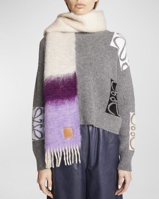 Color-Block Stripe Wool & Mohair Scarf