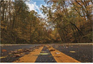 Kurt Shaffer Photographs Follow the Yellow Leaf Road Canvas Art - 19.5 x 26