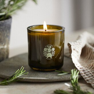 Flamingo Estate Climbing Tuscan Rosemary Candle