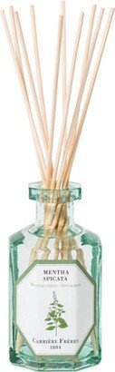 Fragrance diffuser Spearmint - Mentha Spicata 200 ml