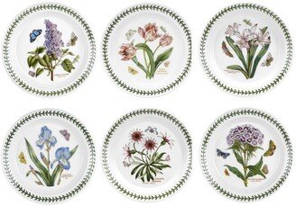 Botanic Garden Assorted Motifs Salad Plate, Set of 6