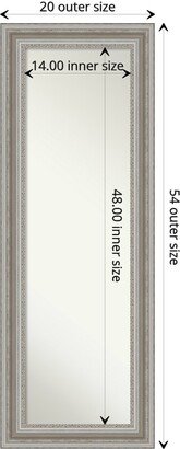 Non-Beveled Full Length On The Door Mirror - Parlor Frame - Glass Size 14 x 48